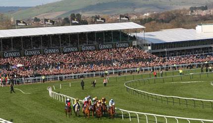 image of horse racing on a race course at Cheltenham festival