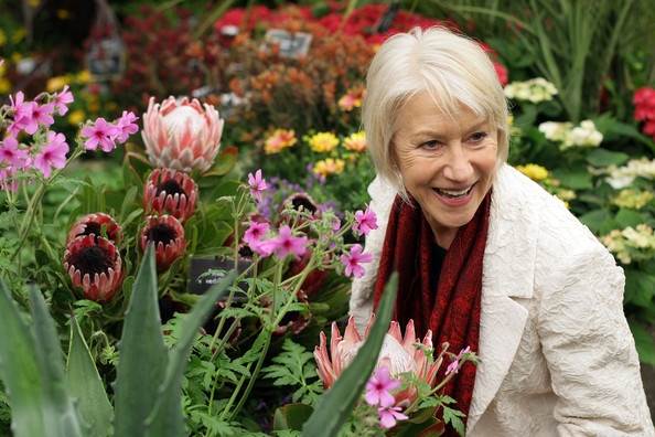 Dame Helen Mirren at the chelsea flower show
