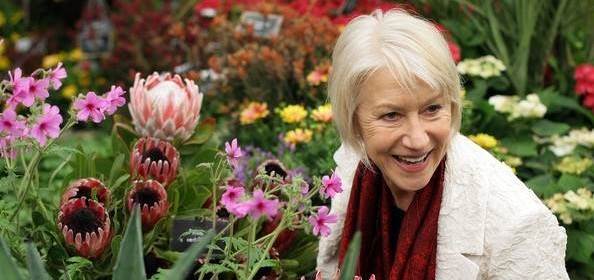 Dame Helen Mirren at the chelsea flower show