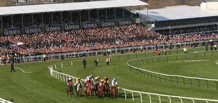 image of horse racing on a race course at Cheltenham festival