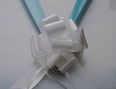 picture of decorative ribbons on a chauffeur car